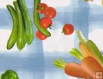 Veggie Wet Look