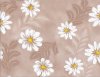 Daisy Brown