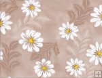 Daisy Brown
