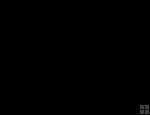 Zip Tac - Black