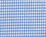 Gingham Wet Look Blue