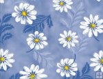 Daisy Blue